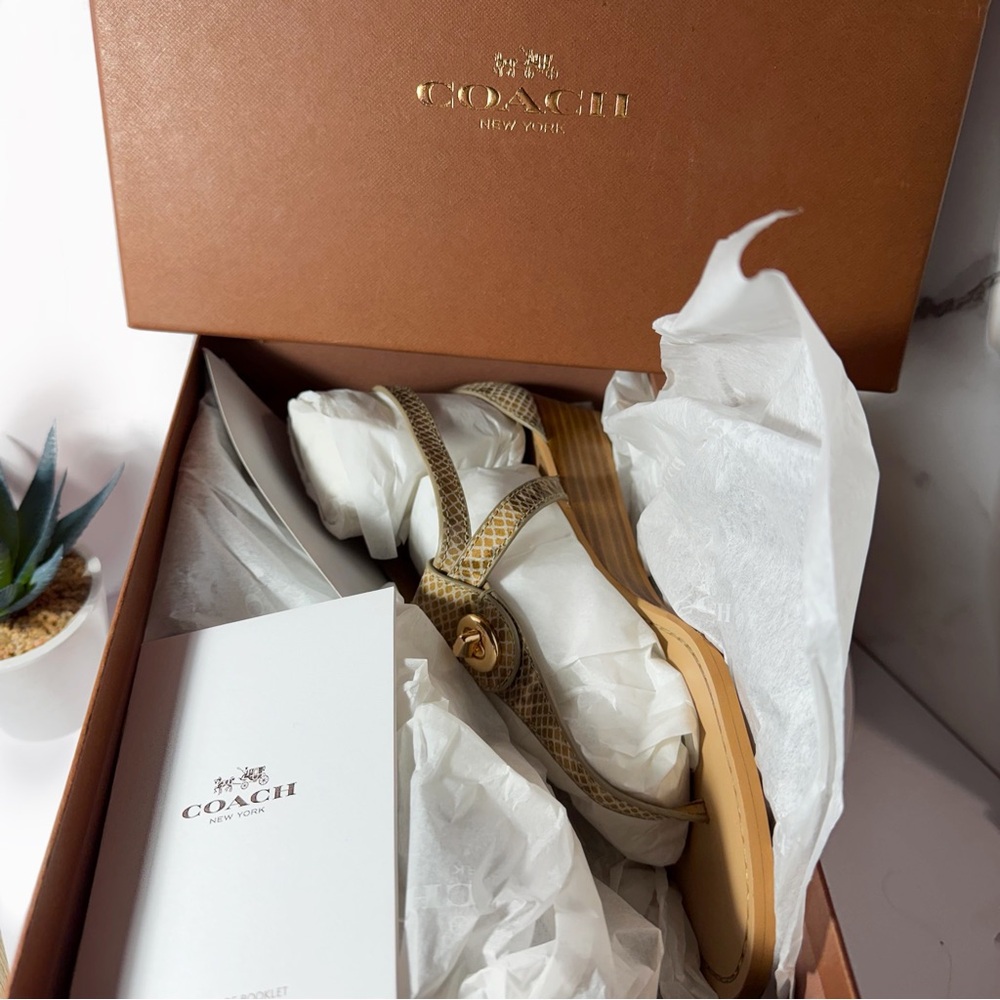 NWT Coach Ingrid Natural Snake Print Leather Sandals Women’s Size 8 New in Box - Picture 3 of 5